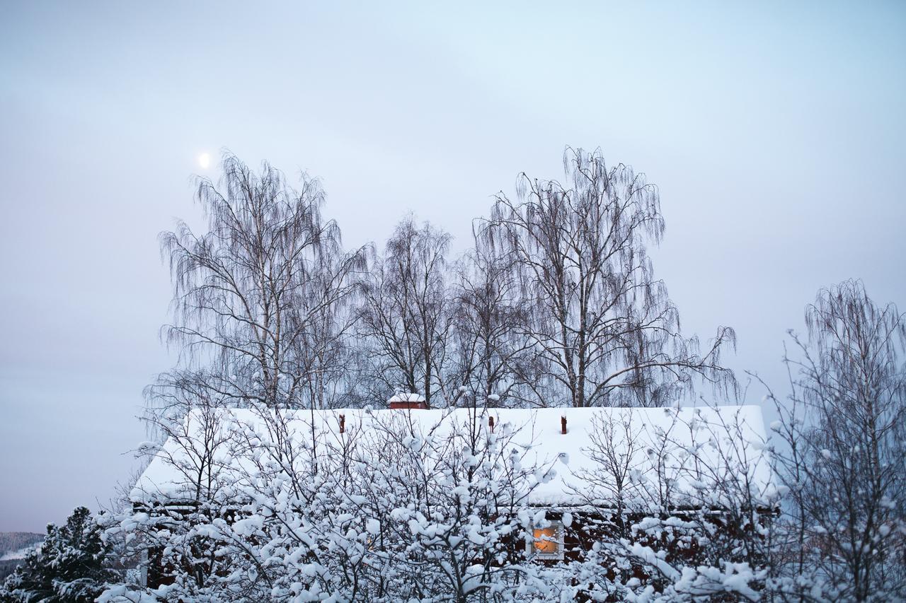 Auberge de jeunesse Helsingegarden à Järvsö Extérieur photo