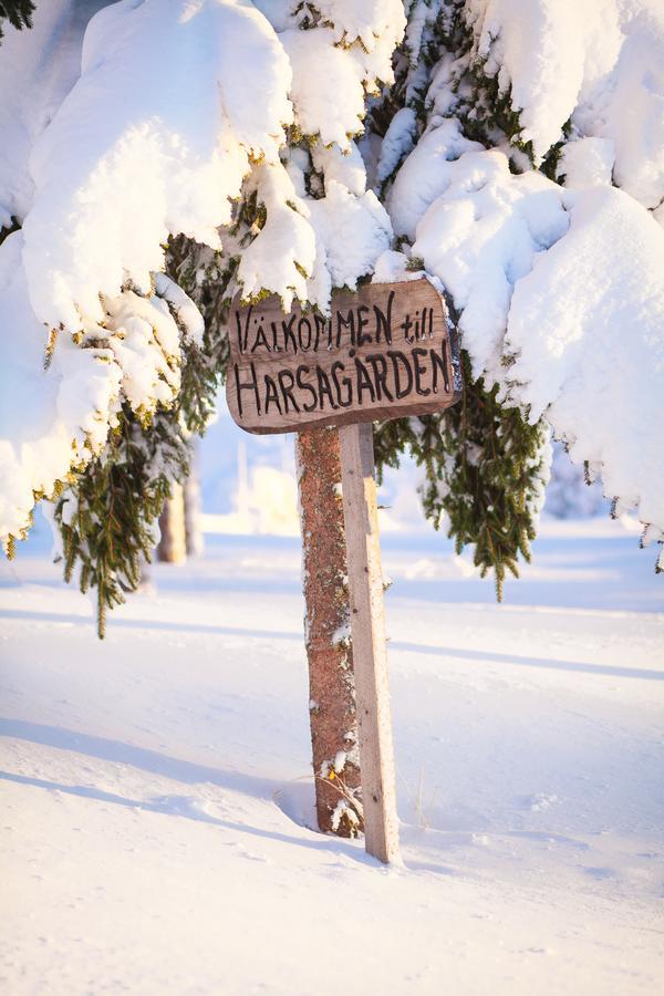 Auberge de jeunesse Helsingegarden à Järvsö Extérieur photo